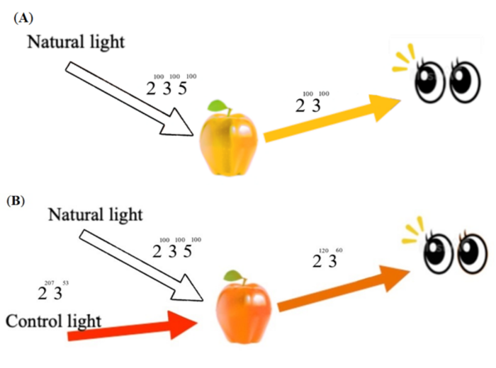 Fig 3 The design of a smart lighting system.