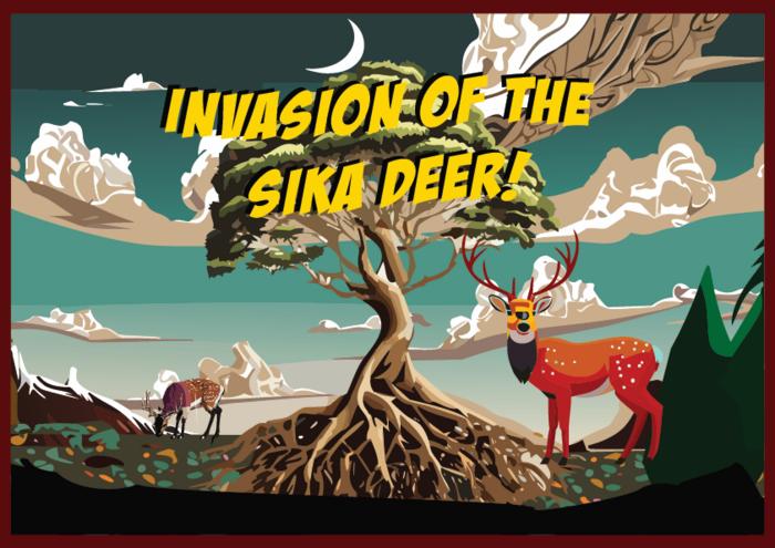 Increase in sika deer population damages the environment