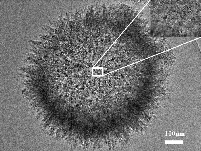 Researchers Achieve Efficient Nutrient Delivery to Crop Leaves through Nanomaterial Surface Roughness Engineering