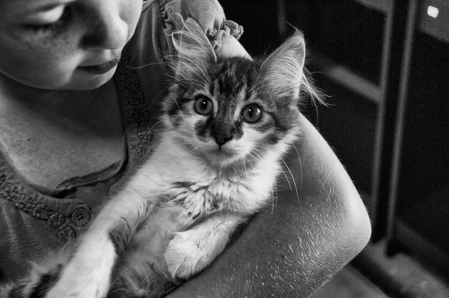 A Girl Holds a Cat