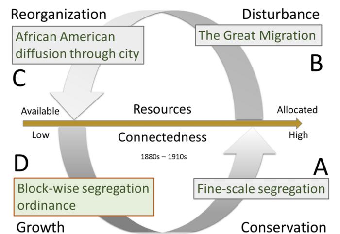 Diagram showing the four stages of the adaptive cycle of resilience