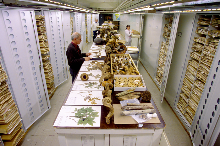 The U.S. National Herbarium at the Smithsonian's National Museum of Natural History in Washington, D.C.