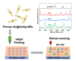 High-Throughput Sensor Developed for Detecting Biochemical Molecules with High Sensitivity and Specificity