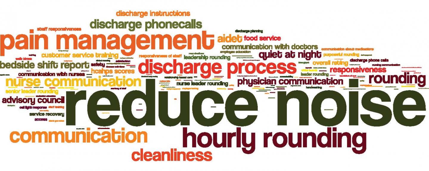Word Cloud of Patient Responses Based on Reports from The Beryl Institute