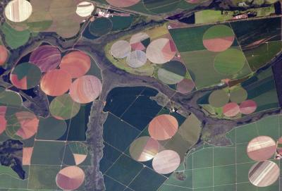 Agricultural Landscape in Brazil