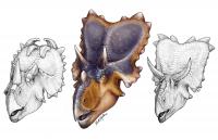 Mercuriceratops Gemini Illustration