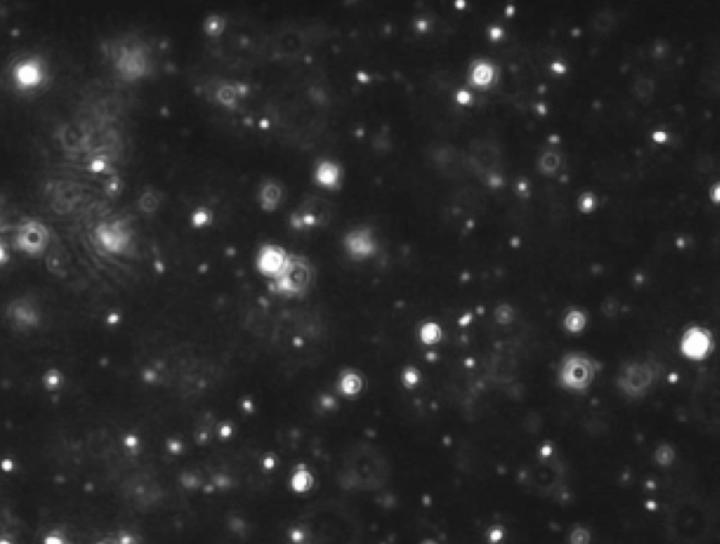 'Liquid Biopsy' Made Possible by Exosomes