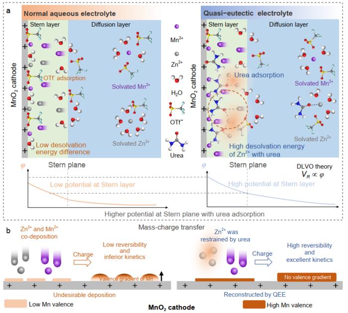 Diagram of the electrochemical behavior of urea-based eutectic electrolyte at the cathode interface
