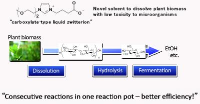 Figure 1: Novel Solvent, Carboxylate-type Liquid Zwitterion, For Plant Biomass