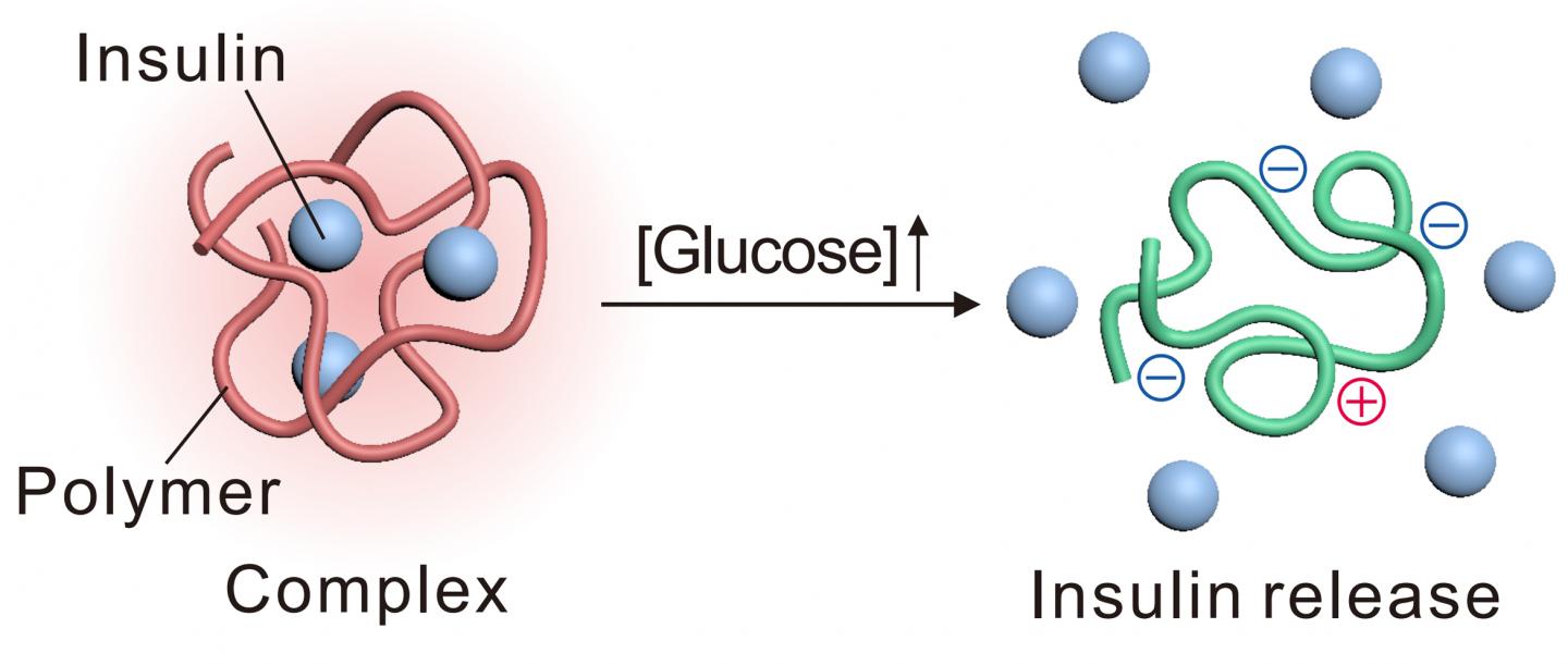 On-demand Insulin Delivery System Restores Normal Glucose in Diabetic Animals (2 of 2)