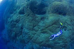 Diver in Revillagigedo National Park