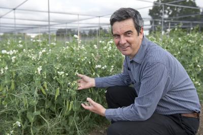 Philip Poole, John Innes Centre