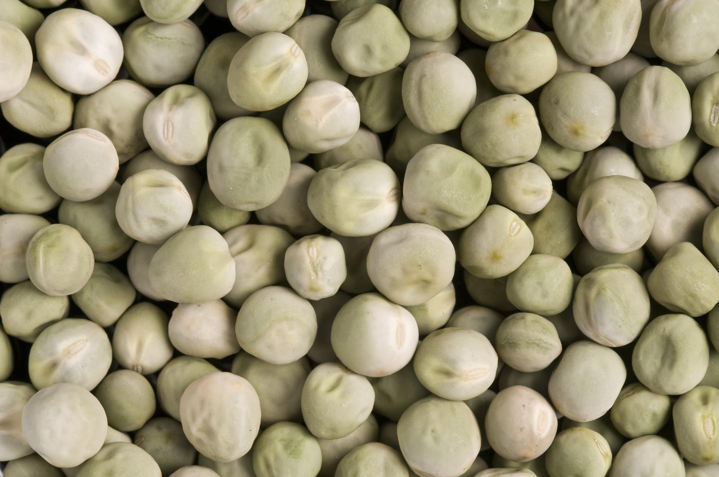 Regular (smooth) peas