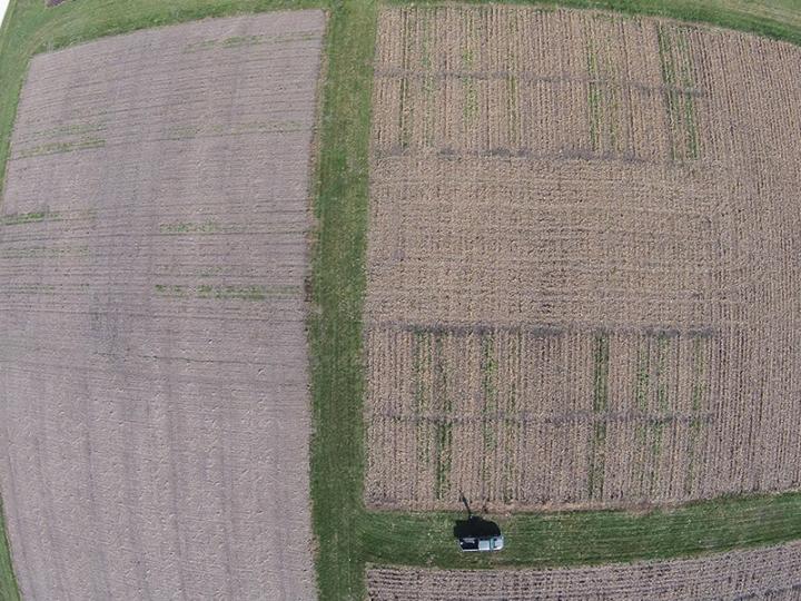 Drone image of field