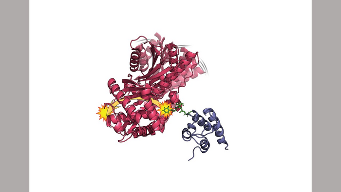 Protein Parts Must Indeed Wiggle And Jiggle To Work Right, New Research Suggests