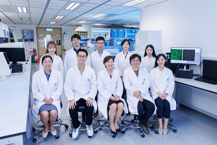 Prof Nancy IP and her research team