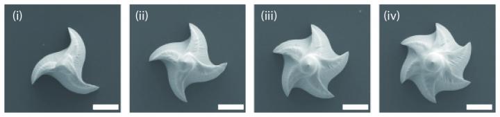 Snake Fang-Like Patch Quickly Delivers Liquid Medicines in Rodents (3 of 5)