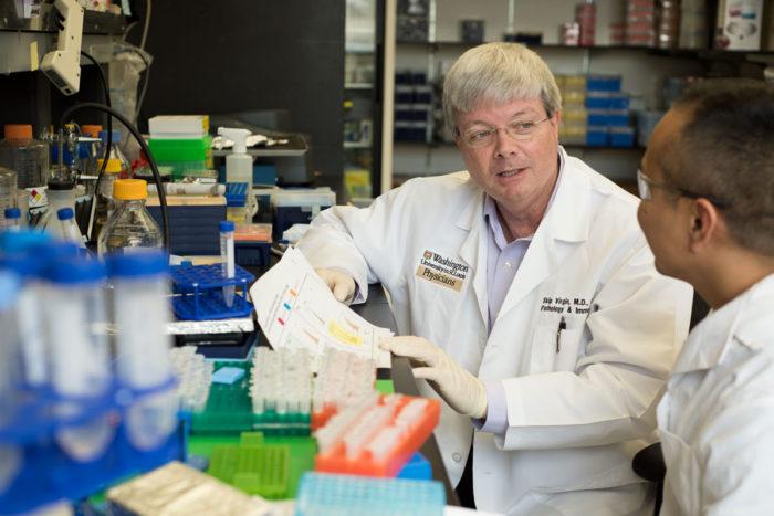 Type 1 Diabetes Risk Linked to Intestinal Viruses