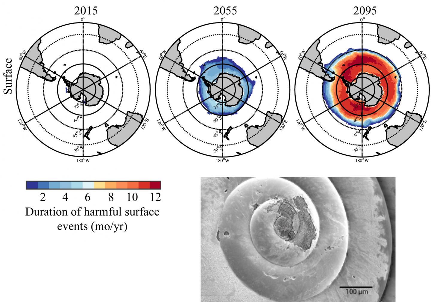 Duration of Harmful Surface Events in the Southern Ocean