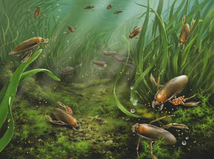 Ecological reconstruction of K. popovi