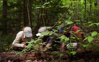 Photo of 3 Harvard Forest Ecologists Examining Wood in the Hurricane Re-Creation Experiment