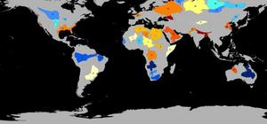 Divining peak groundwater