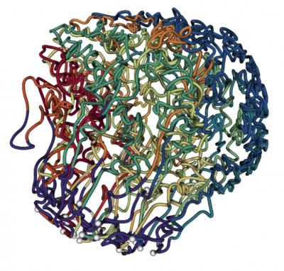 3-D Structure for the Malaria Parasite Genome