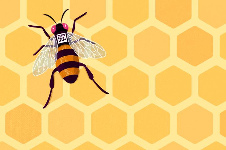 Barcoded Honey Bee