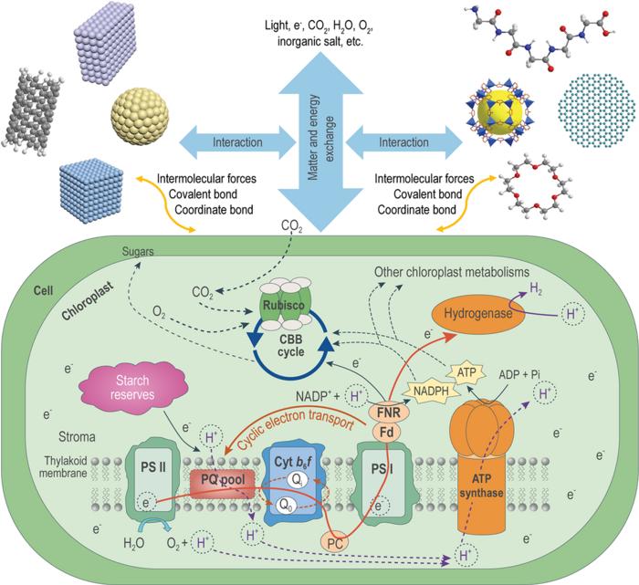 Schematic illustration of chem [IMAGE] | EurekAlert! Science News Releases