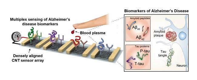 Schematic Diagram