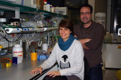 Elena &#193;lvarez-Marimon and Albert Rosell, Institute for Research in Biomedicine