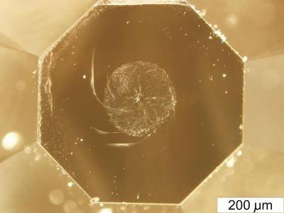 Diamond Anvils Malformed During Synthesis of Ultrahard Fullerite
