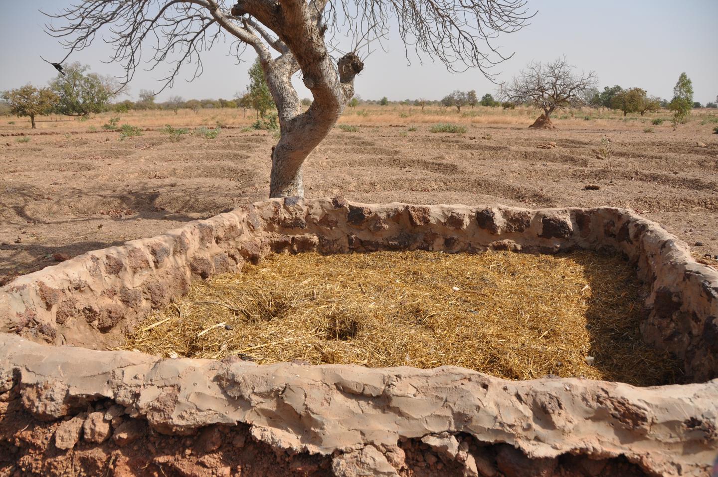 Landscape restoration approaches in Burkina Faso (2)