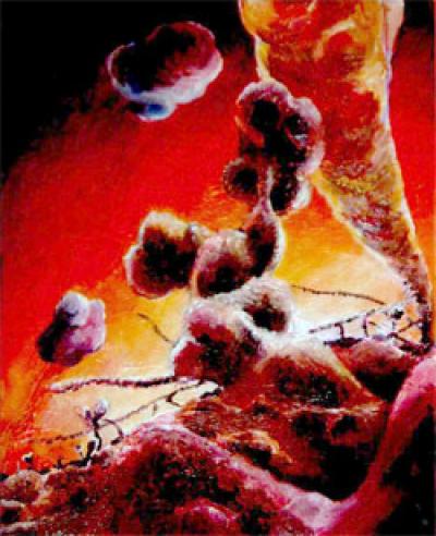 Transport of Microtubules