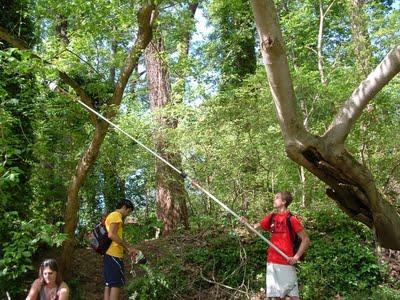 Mosquito Hunters Invent Better, Cheaper Disease Weapon