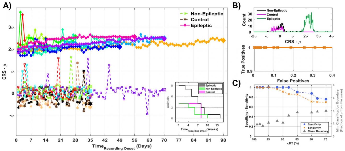 Brain-Heart Biomarker