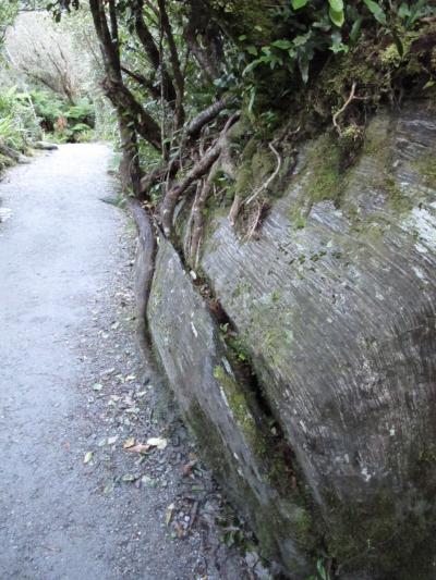 No Speed Limit for Soil in New Zealand's Mountains (7 of 11)