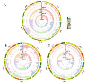 Cyclic Manhattan plots of P values for phenotypic plasticity through the whole Arabidopsis genome (composed of five chromosomes represented by distinct colors) calculated by coFunMap.