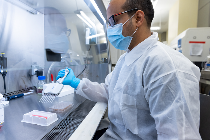 Stem cell model for early human embryo development