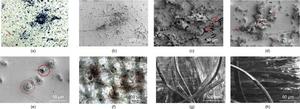 Micro-examination and SEM observations of the surfaces of the two target materials after impacted by CE5 LS particles.