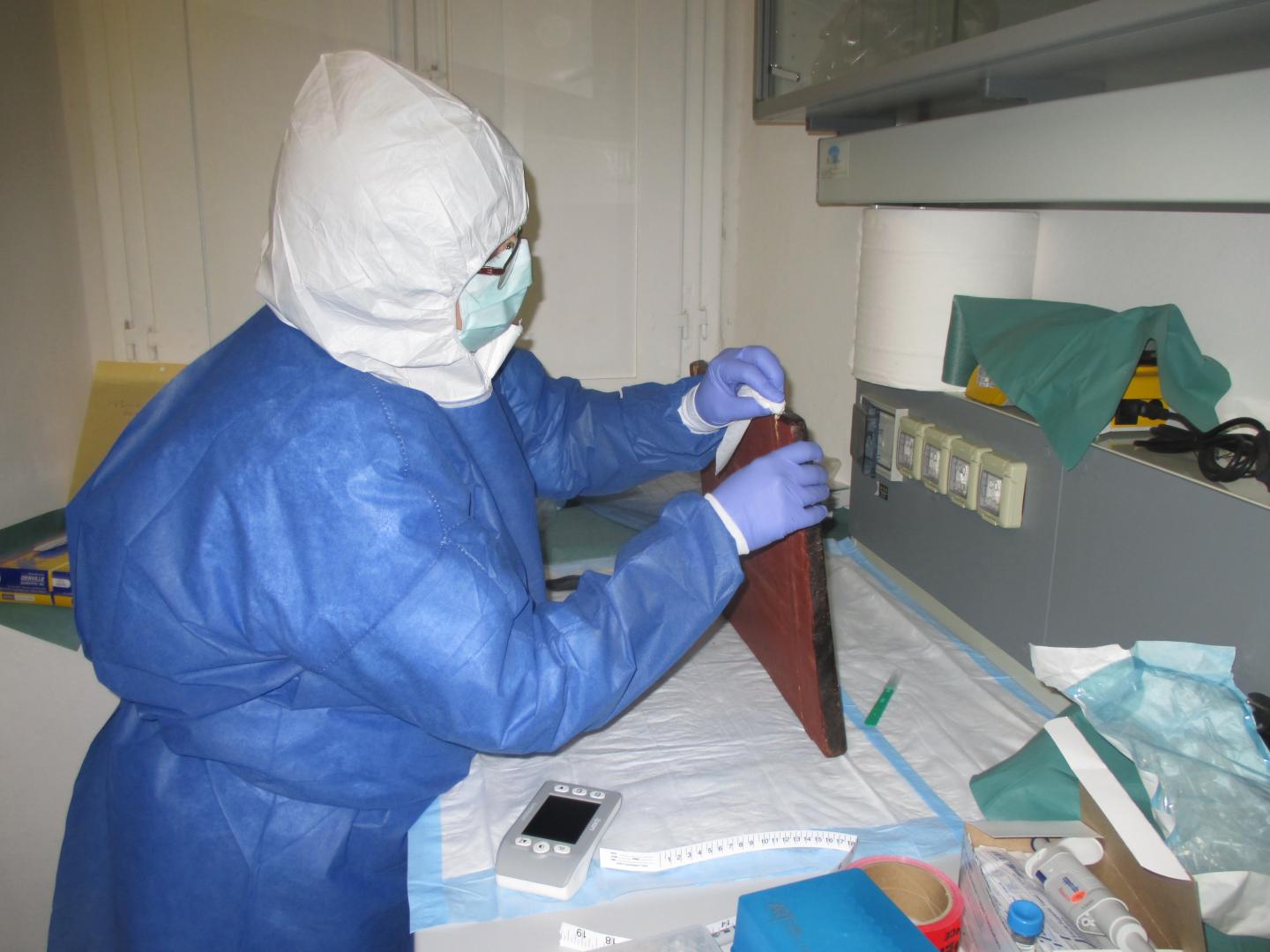 The Microbiome of Art