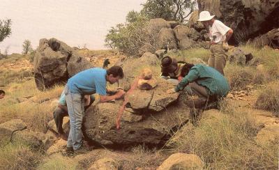 Richly Fossiliferous Freshwater Limestones in the Riversleigh World Heritage Area