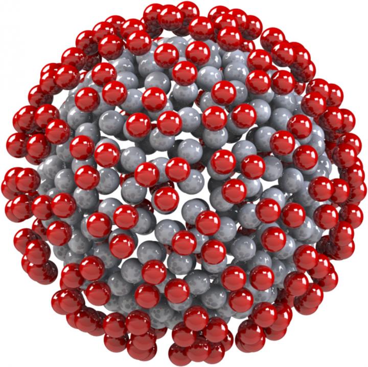 A Coronavirus Particle with the Triangular-Shaped Spikes