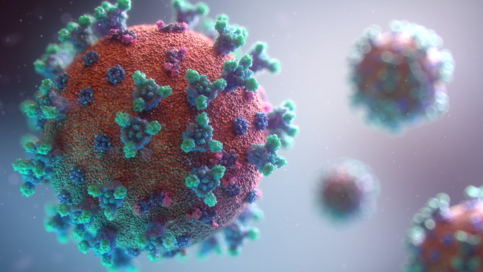 A visualization of the COVID-19 virus.