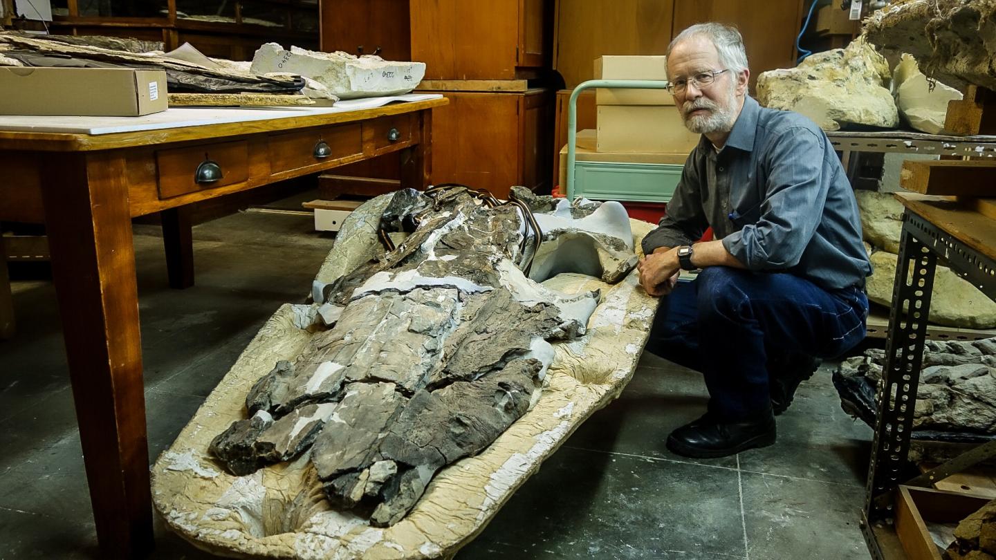 Professor Ewan Fordyce, University of Otago 