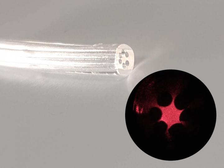 Agarose-Based Structured Optical Fiber