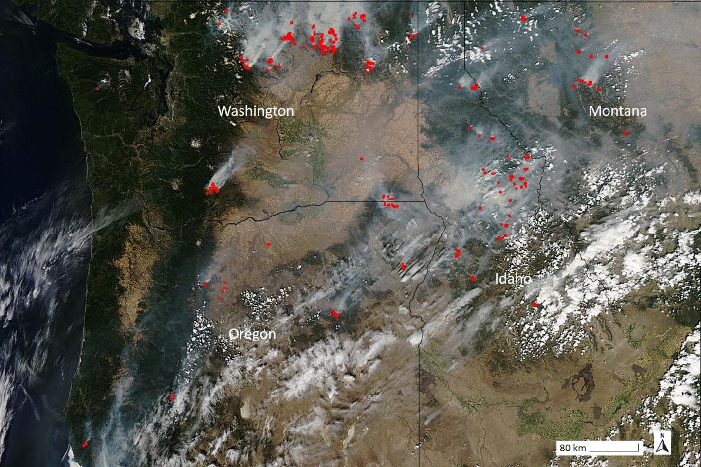 Northwest Fire Map IMAGE EurekAlert Science News Releases   Public