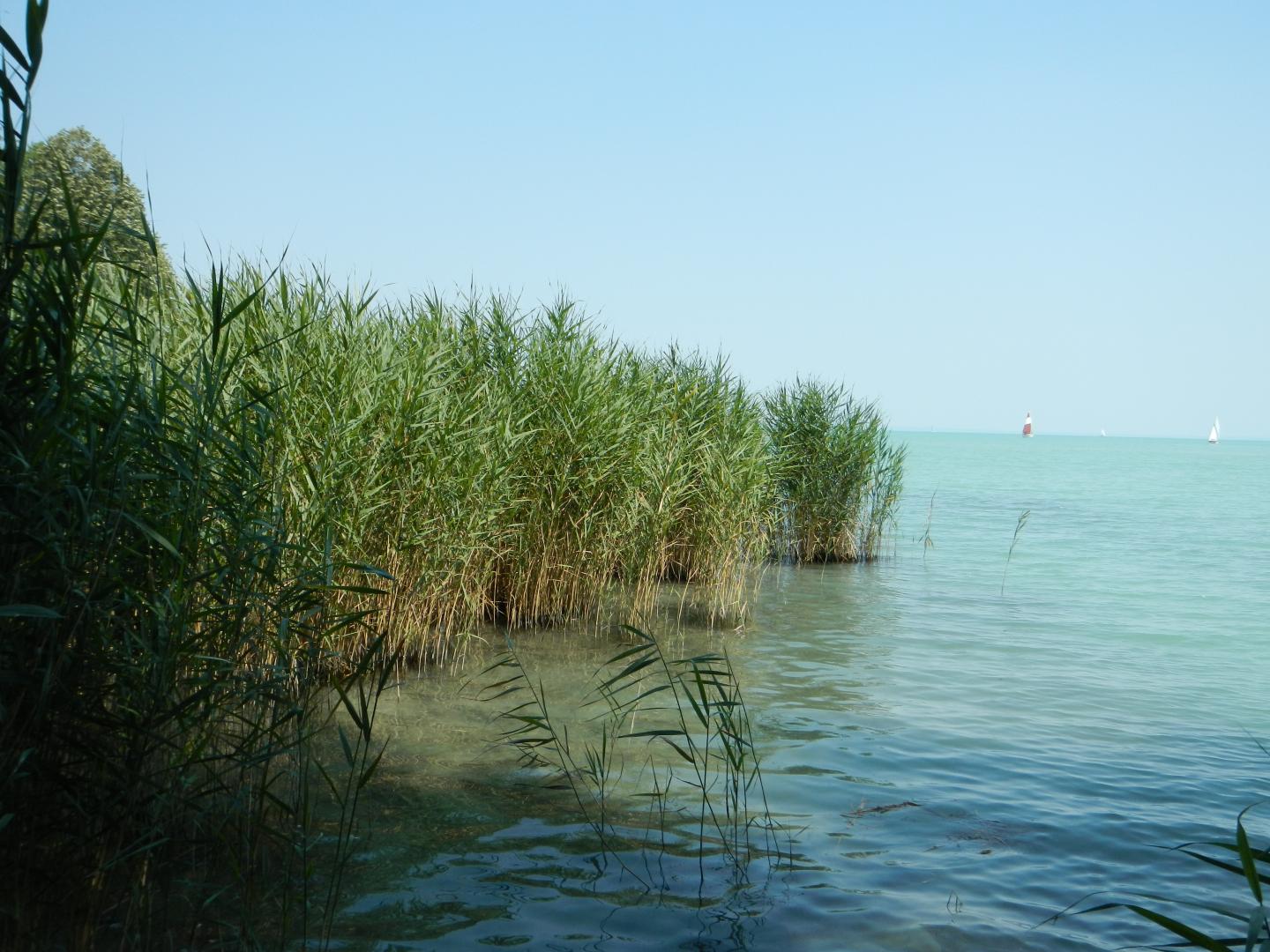Lake Balaton, Hungary