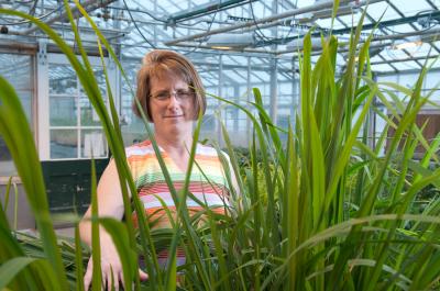 Robin Buell, Michigan State University