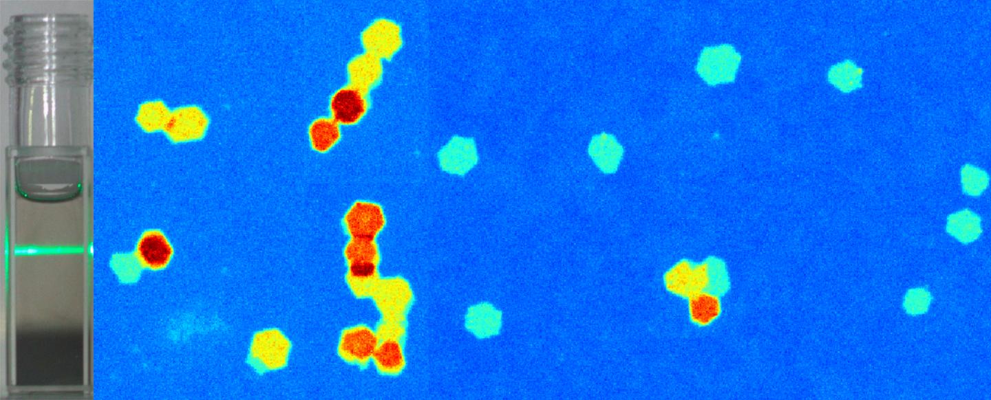 2-D Nanomaterial Solution